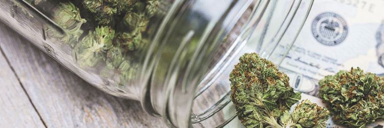 826x276 cannabis header